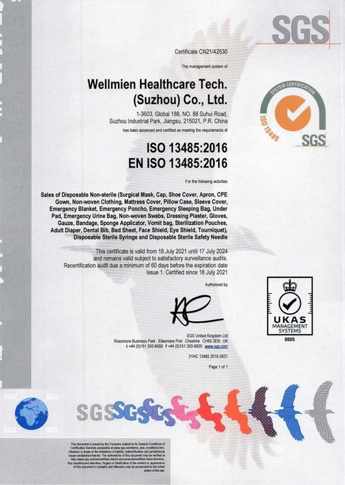 ISO 13485.pdf